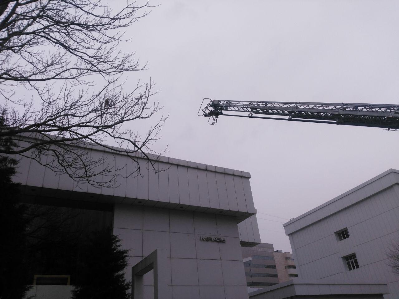 photo 2019 02 11 17 22 25