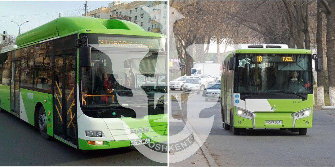 photo 2019 06 29 19 47 54