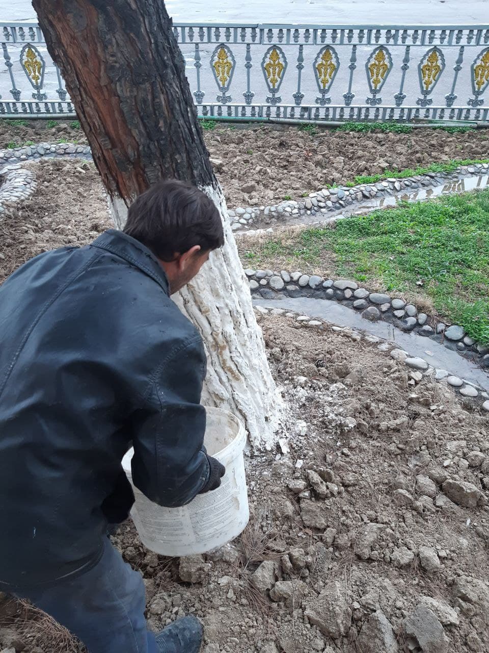 photo 2021 04 03 16 51 43