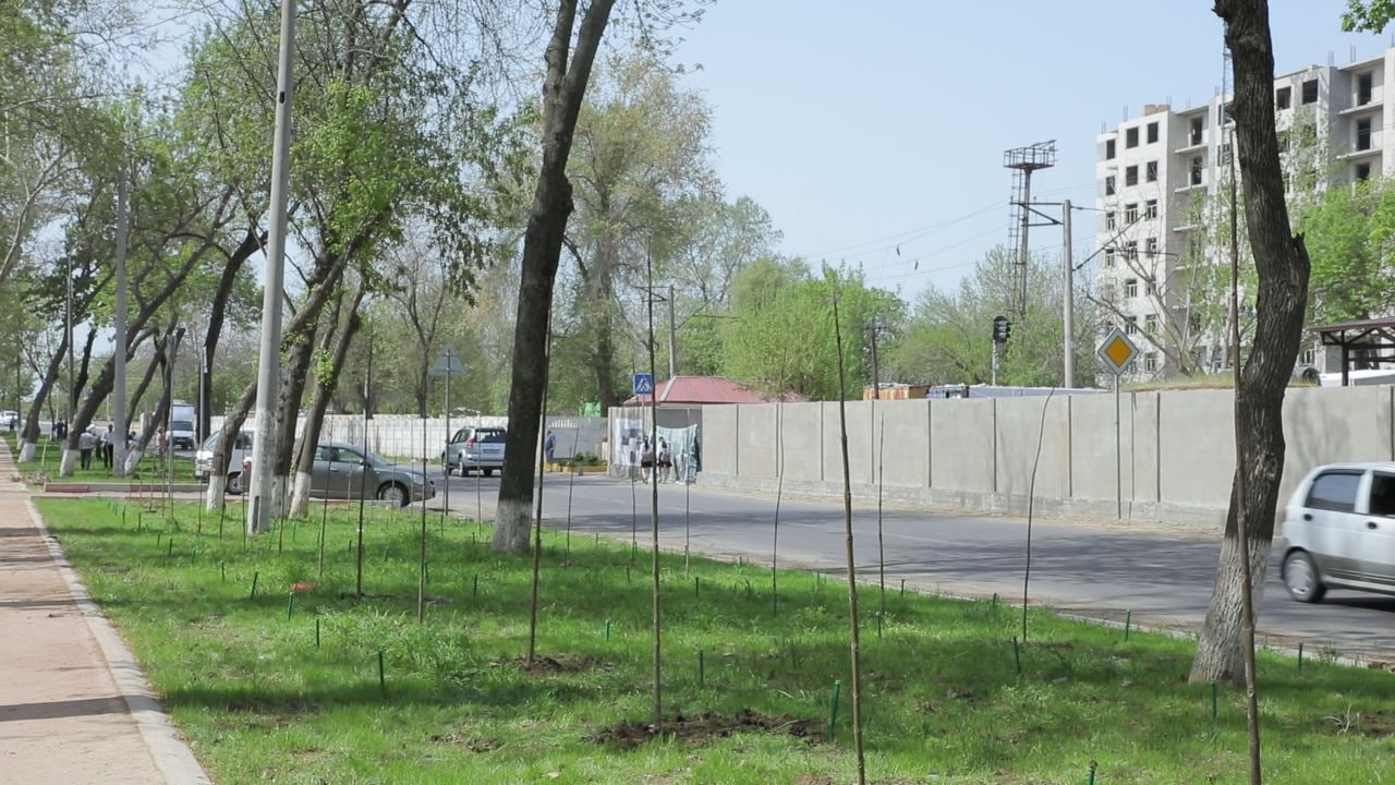 photo 2022 04 09 14 14 46 2