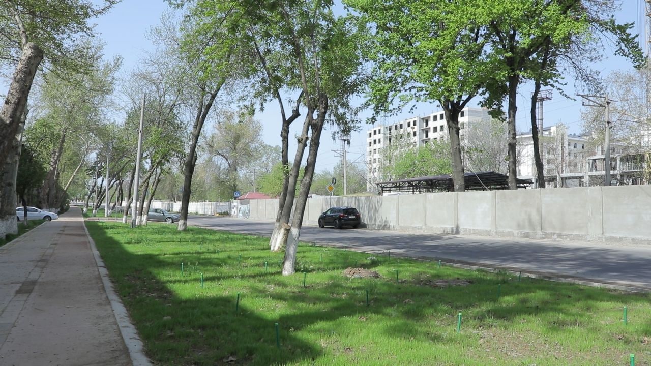 photo 2022 04 09 14 14 47 2