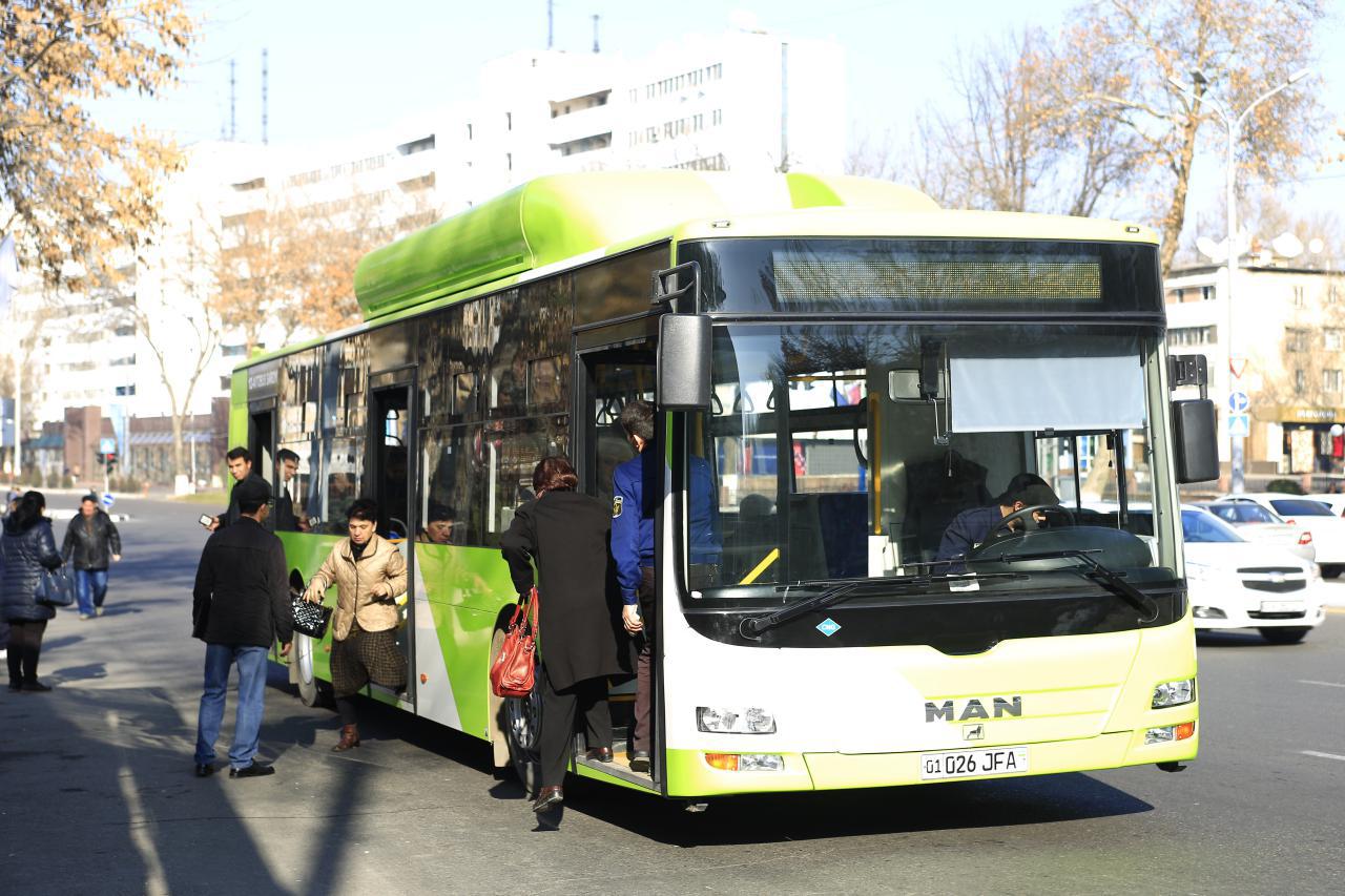 2018 man 12 park el mamnun