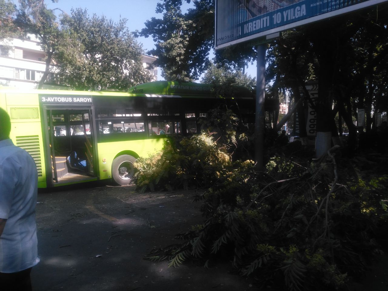 photo5393584810825460014